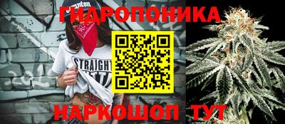 дживик Аргун