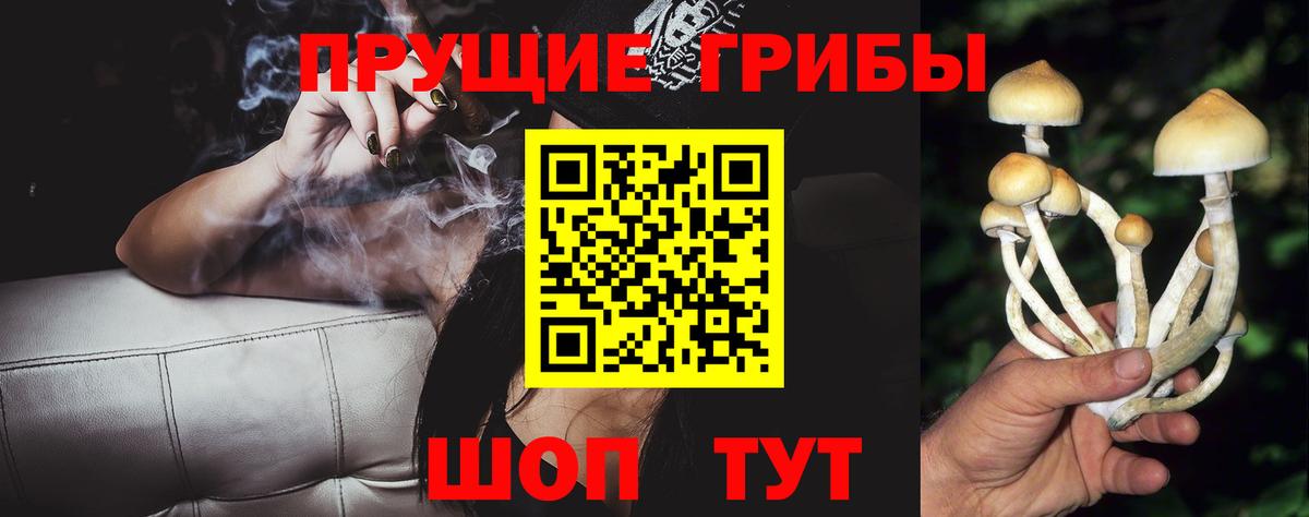 Галлюциногенные грибы Magic Shrooms  Калининград 